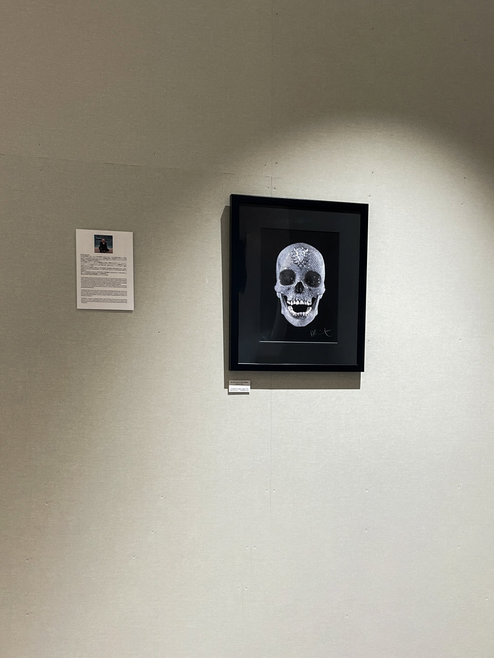 アート・デザイン・音楽 Damienhirst DAMIEN HIRST(イギリス)／URBAN STREET ART