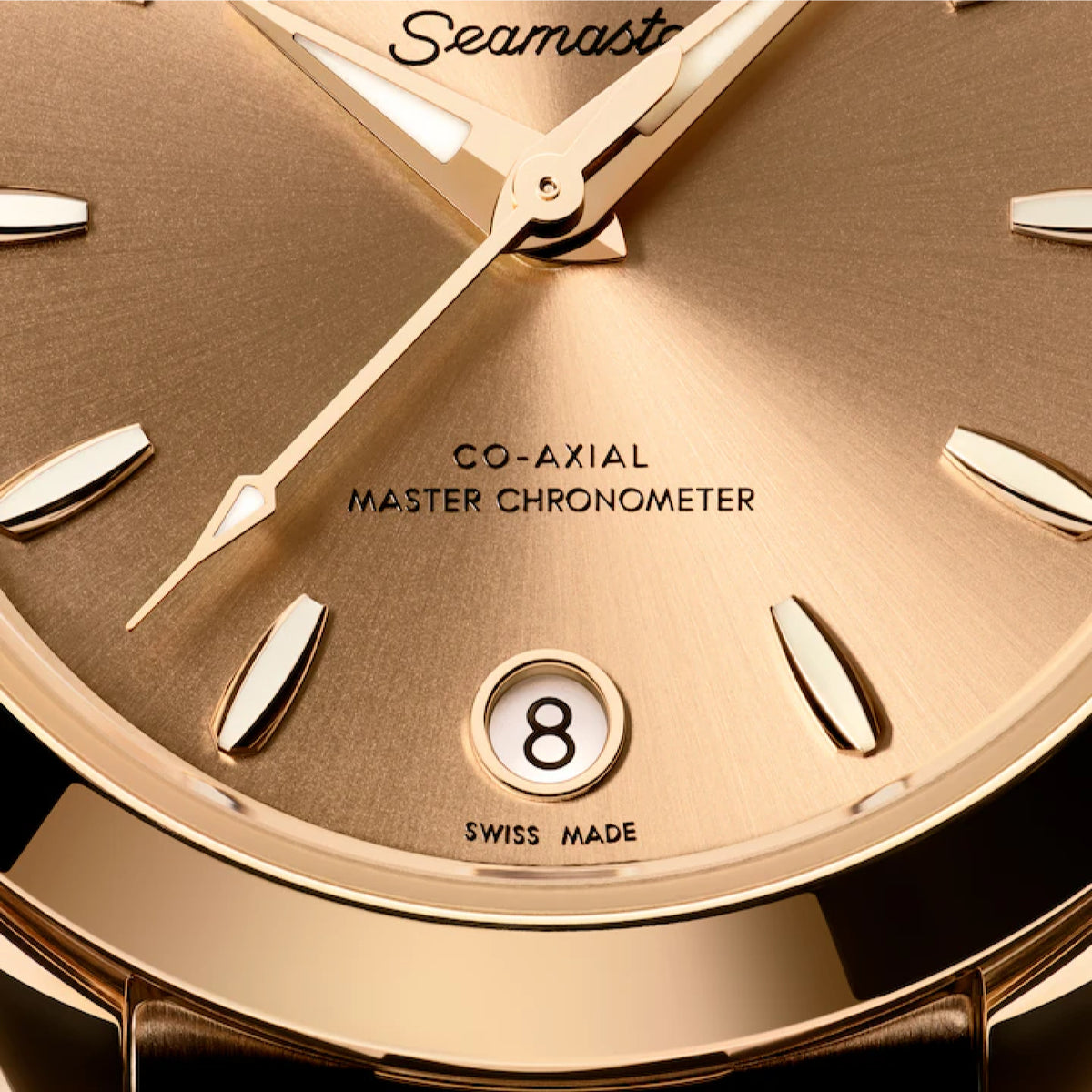 SEAMASTER AQUA TERRA 150M 30mm<br><font size=1pt>シーマスターアクアテラ 150m 30mm</font>