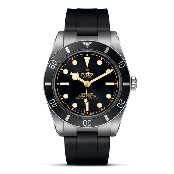 TUDOR ／ チューダー ／ ブラックベイ 54／M79000N-0002