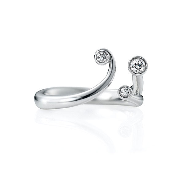 スノーイング ナイト リング