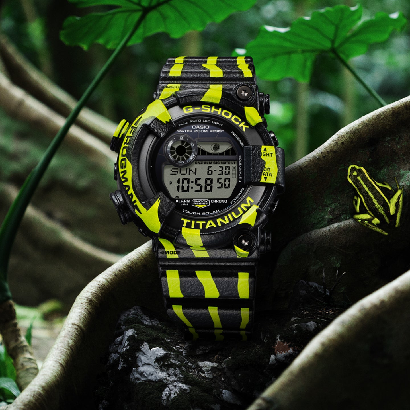 MASTER OF G/FROGMAN<br><font size=1pt>フロッグマン</font>