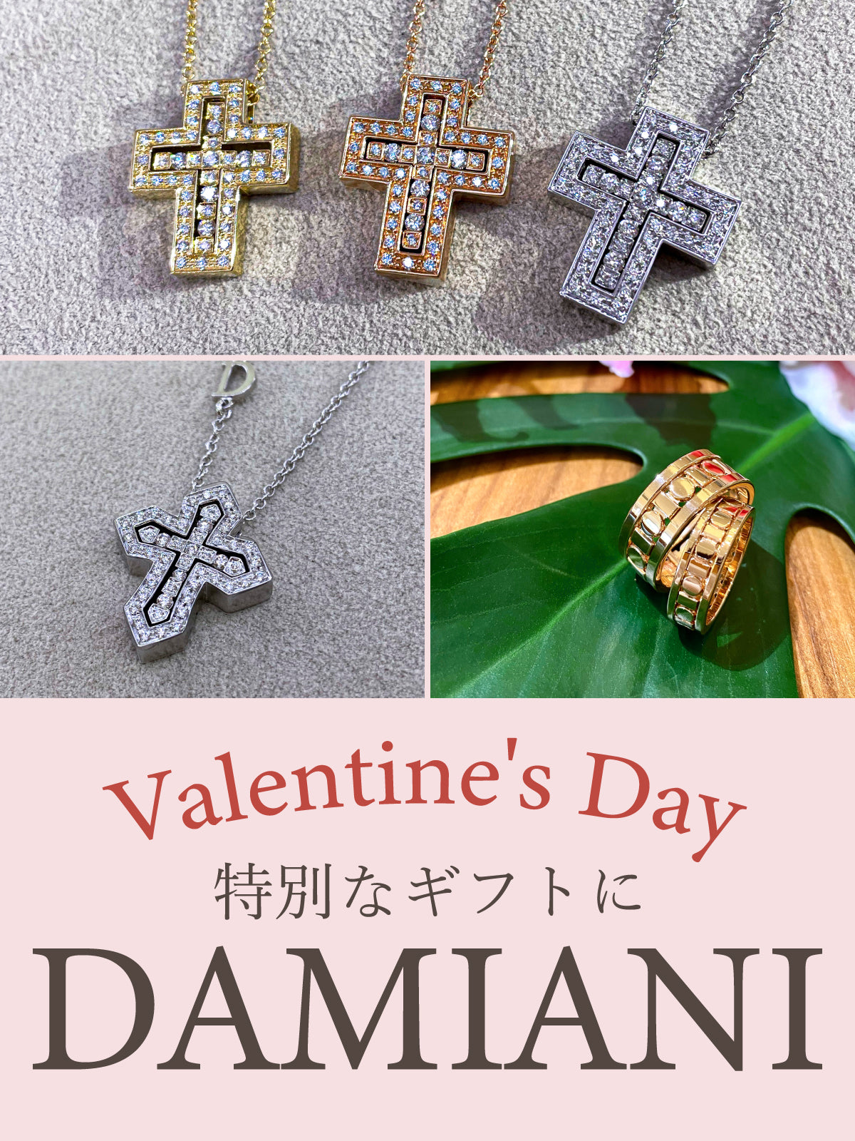 バレンタインに贈る最高のギフト！【ダミアーニ】