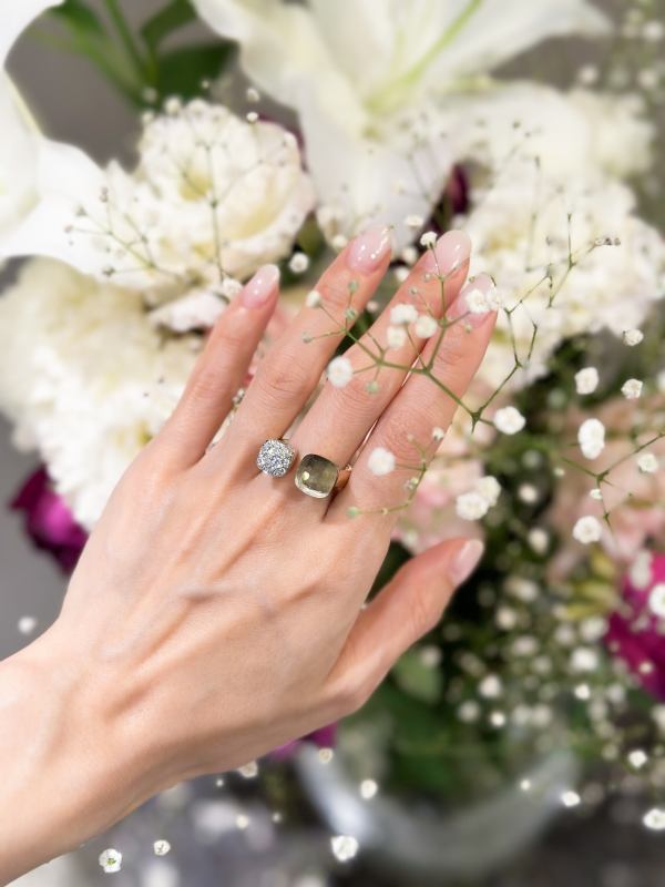 【2024年新作】ポメラート　ヌード　トワエモワ/PAC4020_O6WHR_DB0PA、POC4020_O6WHR_DB0PA