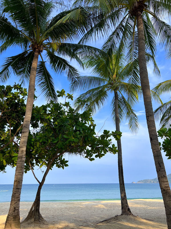 海に似合う時計＆ジュエリー特集🌴夏はやっぱり海！マリンスタイルが◎