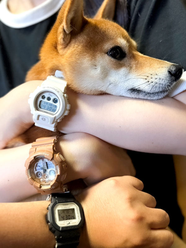 I様 G-SHOCK お求めいただき誠にありがとうございます／GA-100SHB-5AJR/DW-6900SHB-7JR/DW-5600SHB-1JR