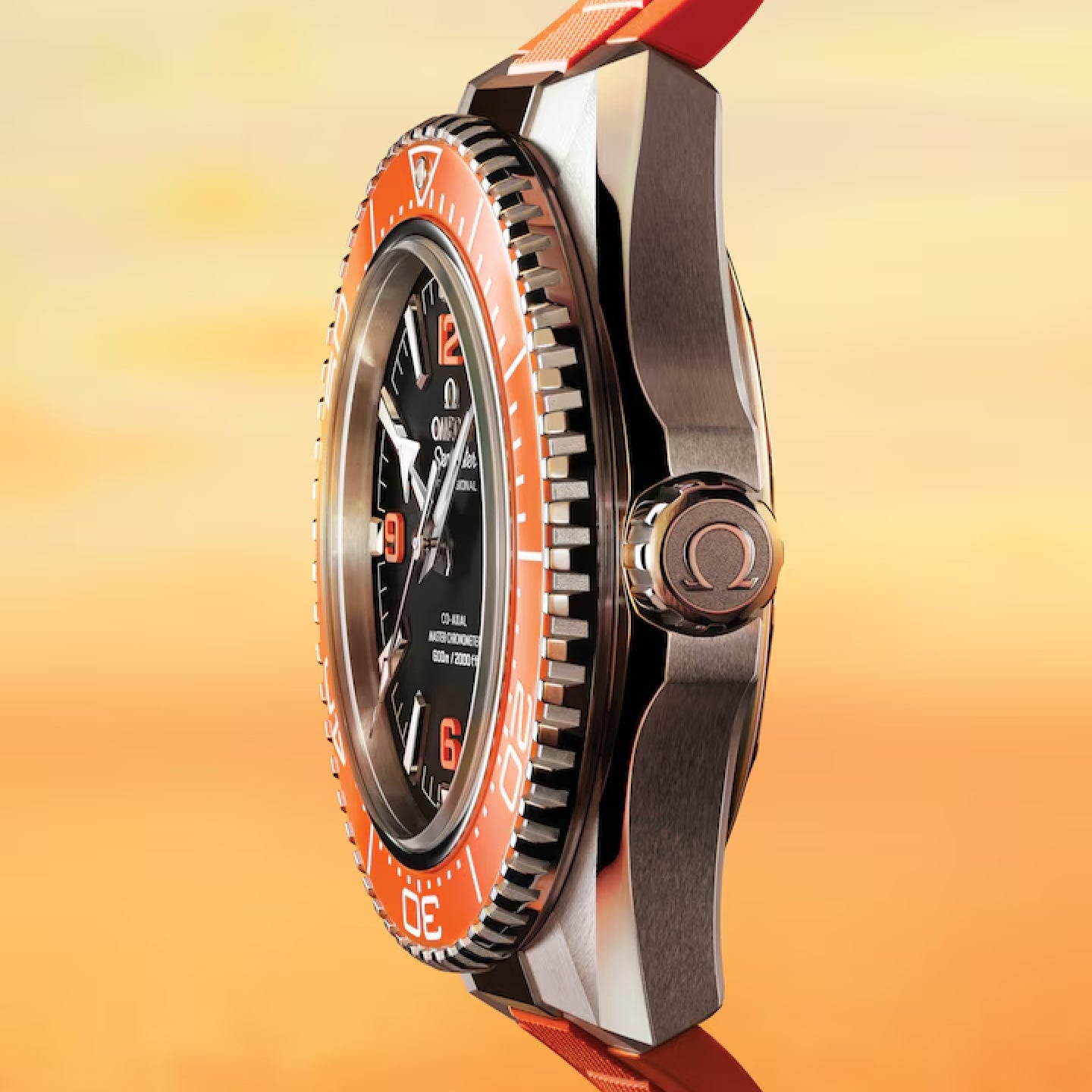 SEAMASTER PLANETOCEAN 600M<br><font size=1pt>シーマスター プラネット オーシャン 600M</font>
