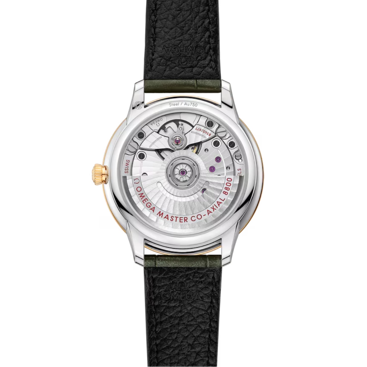 プレステージ 34mm
