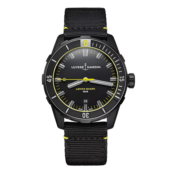 Diver<br><font size=1pt>ダイバー</font>