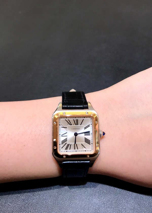 Cartier サントス 18Kピアス 純正通販 euro.com.br