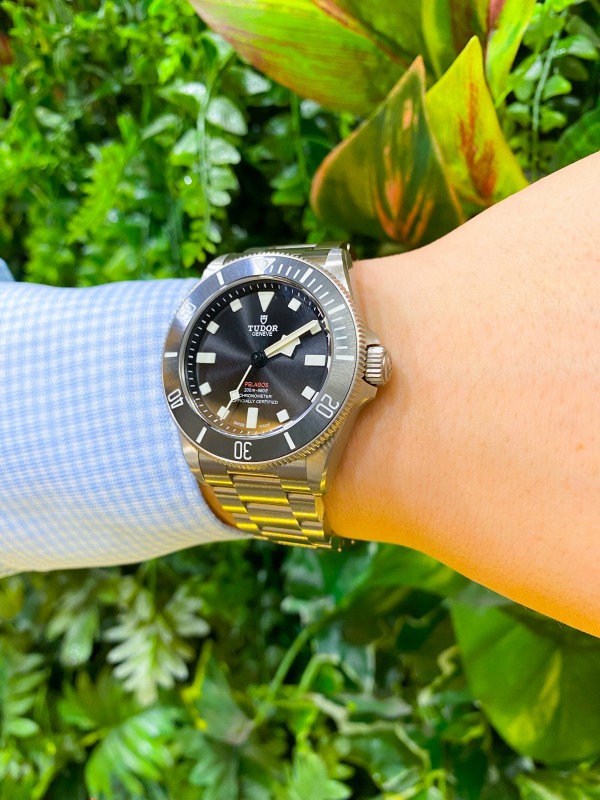 新作】TUDOR（チューダー） PELAGOS 39／M25407N-0001 | HASSIN ...