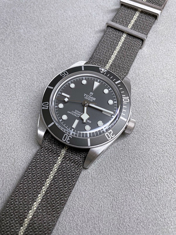 tudor_79010SG-0002 (5)_600